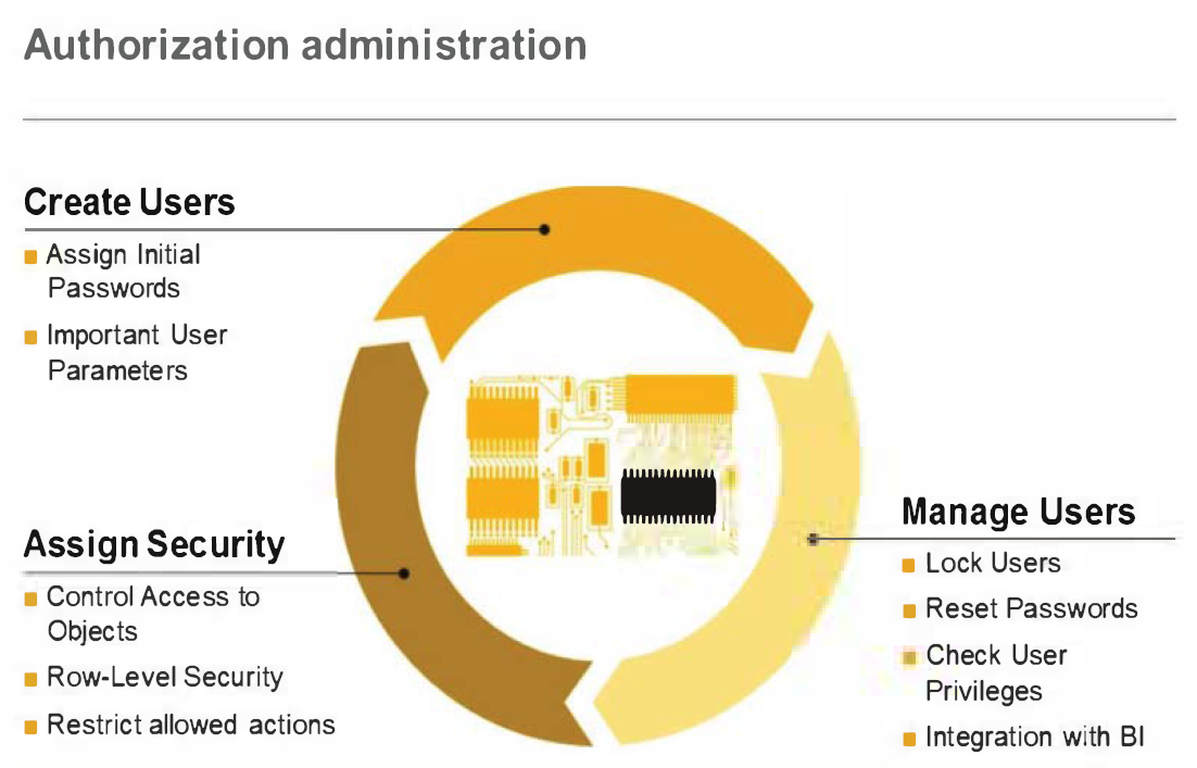Autorizaciones SAP HANA: conceptos básicos 1 Autorizaciones SAP HANA: conceptos básicos 1