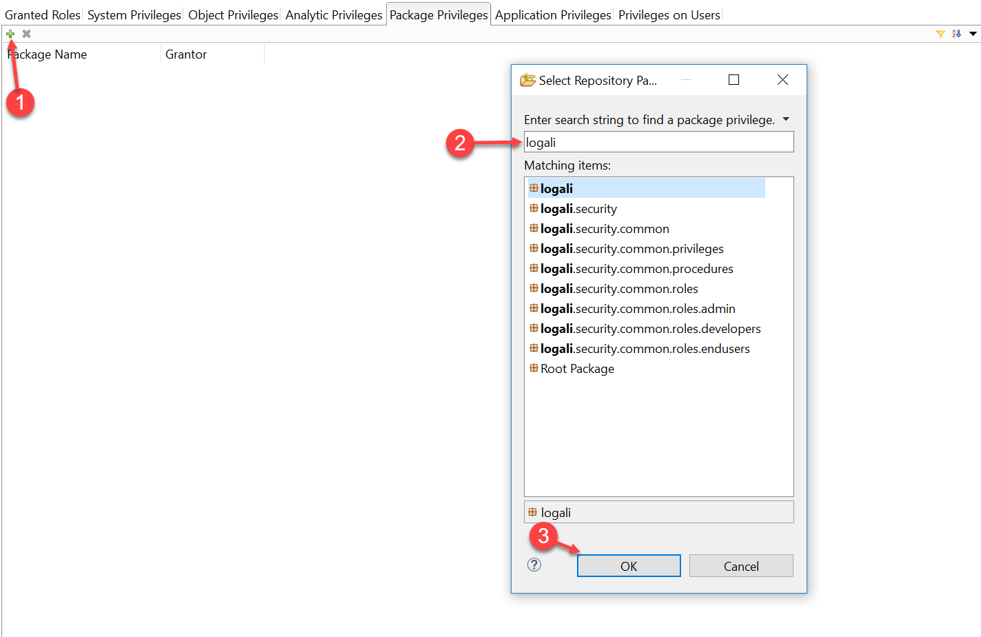 Crear Rol de Repositorio 2