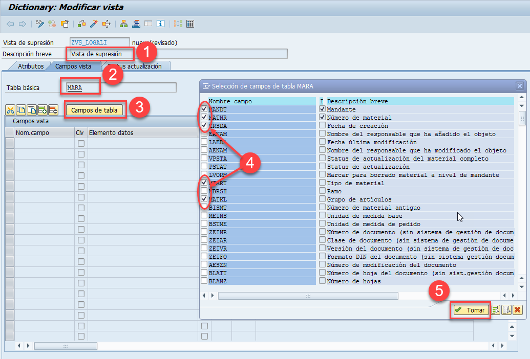Vista de proyección SAP: guía DDIC 3
