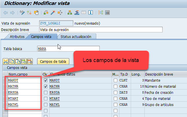 Vista de proyección SAP: guía DDIC 4