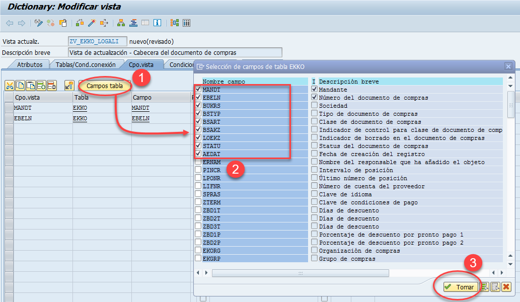 Crear un cluster de vistas en SAP 4 Crear un cluster de vistas en SAP 4
