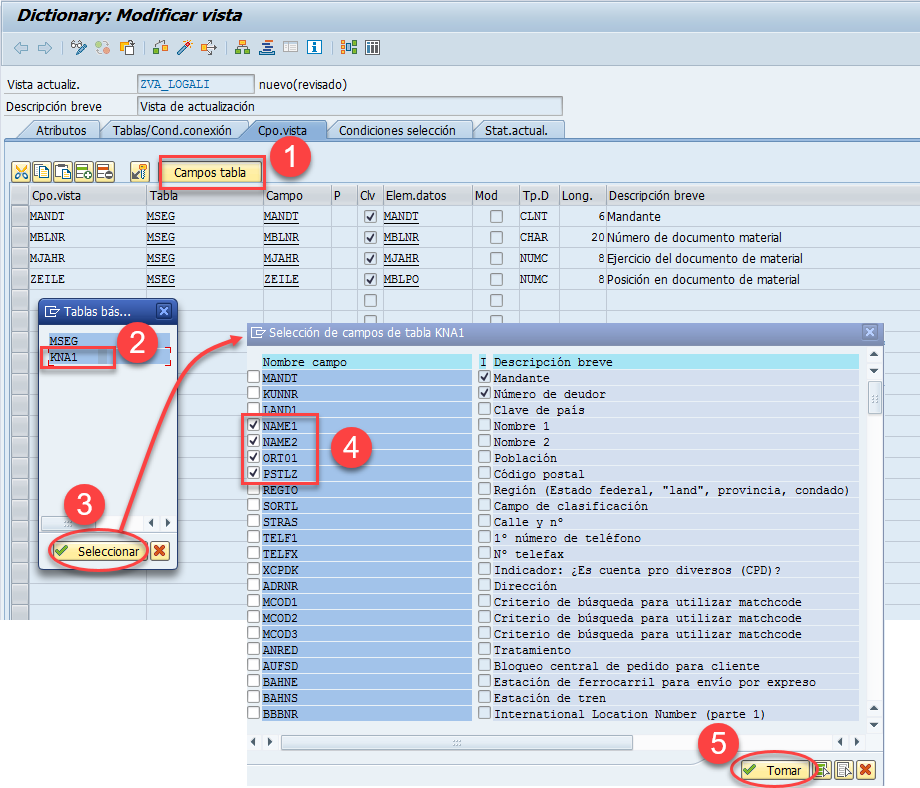 Vista de actualización SAP: guía DDIC 5 Vista de actualización SAP: guía DDIC 5