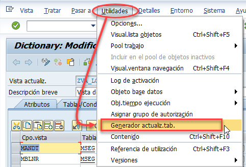 Vista de actualización SAP: guía DDIC 9 Vista de actualización SAP: guía DDIC 9