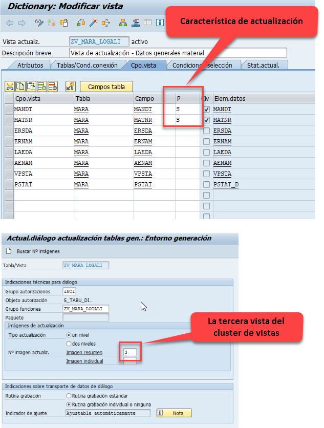 Crear un cluster de vistas en SAP 10 Crear un cluster de vistas en SAP 10