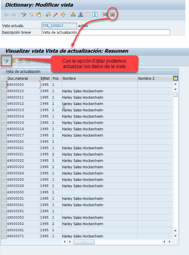 Vista de actualización SAP: guía DDIC 11 Vista de actualización SAP: guía DDIC 11
