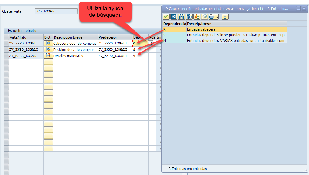 Crear un cluster de vistas en SAP 17 Crear un cluster de vistas en SAP 17
