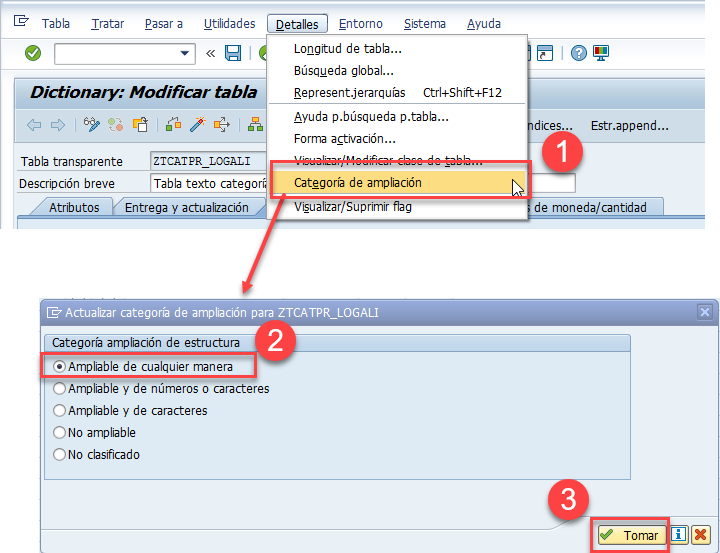 Tabla de texto en SAP ABAP: guía DDIC 17 Tabla de texto en SAP ABAP: guía DDIC 17