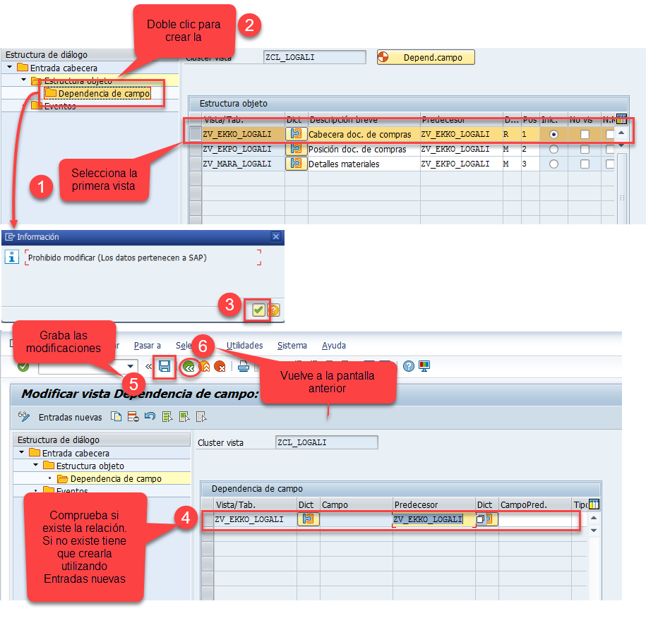 Crear un cluster de vistas en SAP 19 Crear un cluster de vistas en SAP 19