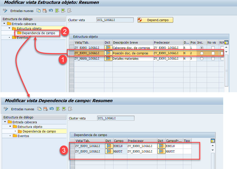 Crear un cluster de vistas en SAP 20 Crear un cluster de vistas en SAP 20