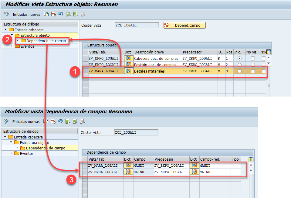 Crear un cluster de vistas en SAP 21 Crear un cluster de vistas en SAP 21