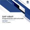 SAP ABAP Programación Estructurada - curso online