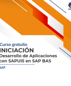 Iniciación - Desarrollo de aplicaciones con SAPUI5 en SAP BAS - Curso Online