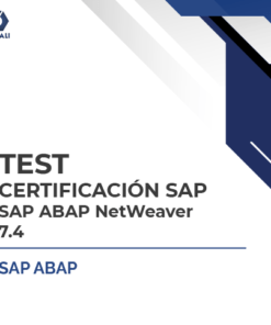 SAP ABAP NetWeaver 7.4
