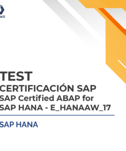 SAP Certified ABAP for SAP HANA – E_HANAAW_17