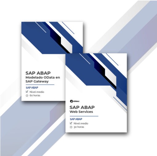Megapack APIs en SAP - Modelado y Exposición