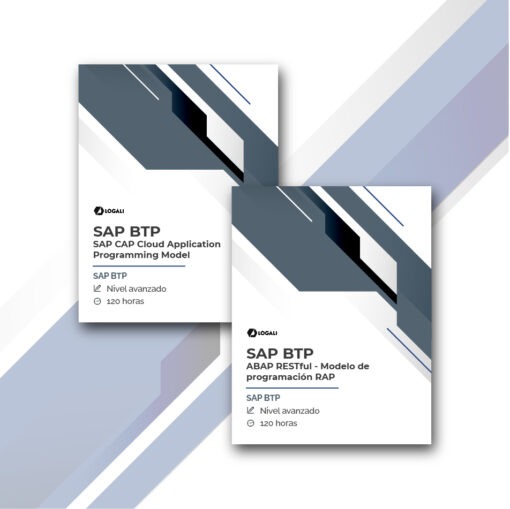 Megapack CAP y ABAP RESTful Modelo de programación en Cloud BTP