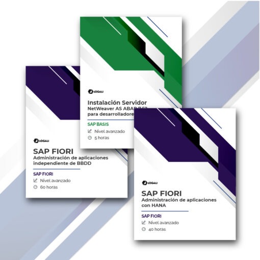 Megapack SAP Fiori Administración