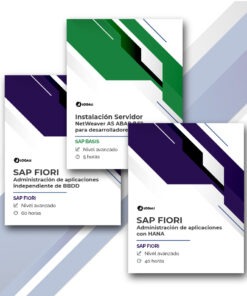 Megapack SAP FIORI administración