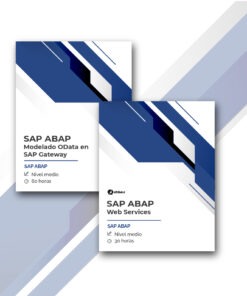 Megapack APIS en SAP - Modelado y exposición