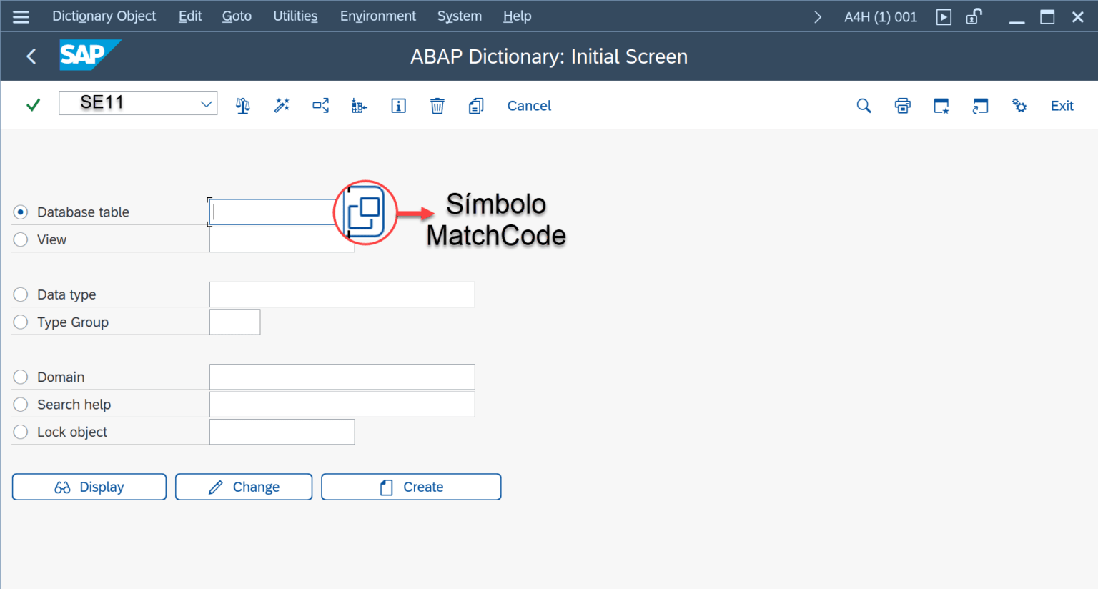 DDIC - MatchCode - Logali Group