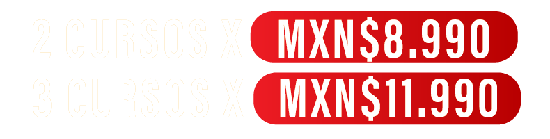 Cursos SAP - Buen Fin Mx 4 Buen Fin MX 07