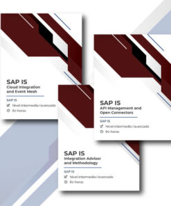Megapack SAP Integration Suite - 4 cuotas