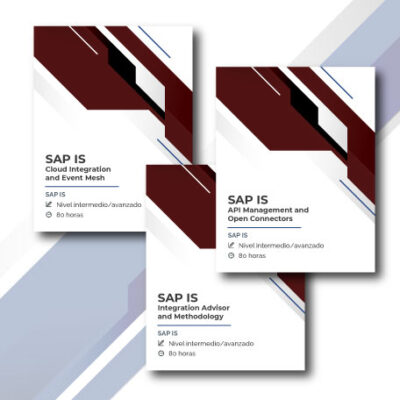 Megapack SAP Integration Suite - 4 cuotas
