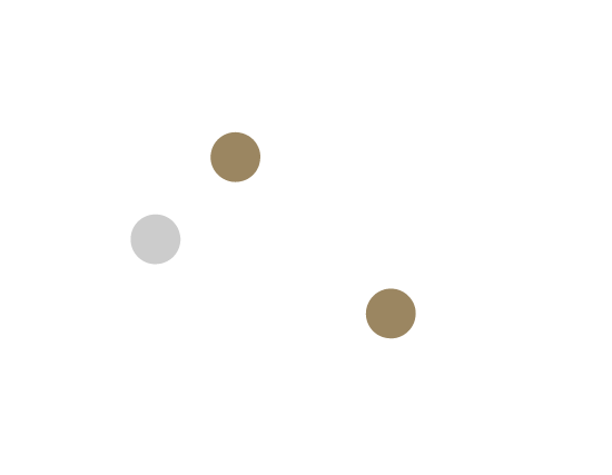 consultoria y formacion SAP 03