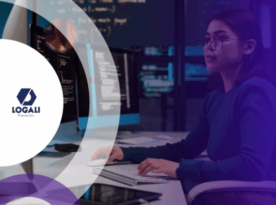 Megapack Desarrollo de Aplicaciones con SAPUI5