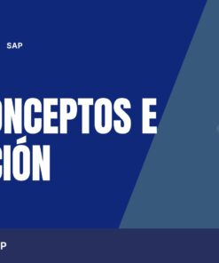 Curso SAP Conceptos e iniciación