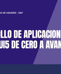 Curso Desarrollo de Aplicaciones con SAPUI5 de Cero a Avanzado