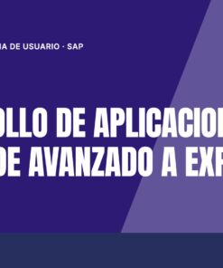 Curso Desarrollo de Aplicaciones SAPUI5 de Avanzado a Experto