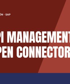 Curso SAP API Management and Open Connectors