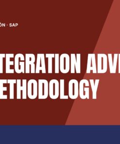 Curso SAP Integration Advisor and Methodology