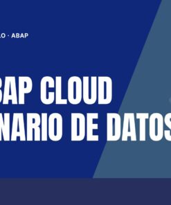 Curso SAP ABAP Cloud Diccionario de Datos