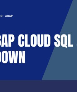 Curso SAP ABAP Cloud SQL Push Down