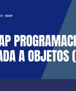 Curso SAP ABAP Programación Orientada a Objetos (POO)