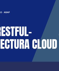 Curso ABAP RESTful-Arquitectura Cloud