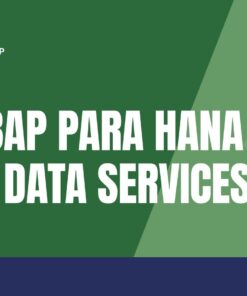 Curso SAP ABAP para HANA CDS – Core Data Services