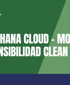 Curso SAP S/4HANA Cloud – Modelo de Extensibilidad Clean Core