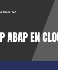 Curso SAP BTP ABAP en Cloud