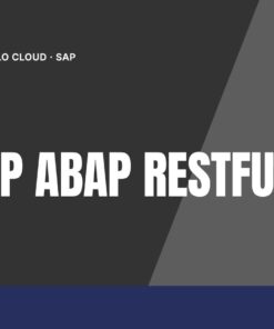 Curso SAP BTP ABAP RESTful