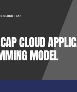 Curso SAP BTP CAP Cloud Application Programming Model