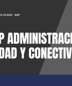 Curso SAP BTP Administración, Seguridad y Conectividad