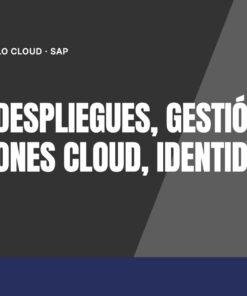 Curso SAP BTP Despliegues, Gestión de Aplicaciones Cloud, Identidad y CLI