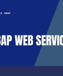 Curso SAP ABAP Web Services