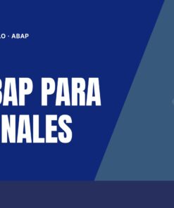 Curso SAP ABAP Para funcionales
