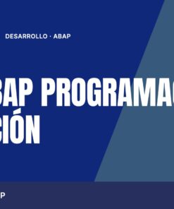 Curso SAP ABAP Programación Iniciación