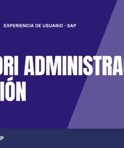 Curso SAP Fiori Administración Iniciación