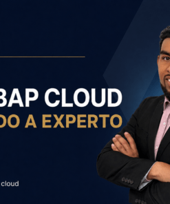 Máster SAP ABAP Cloud de Avanzado a Experto